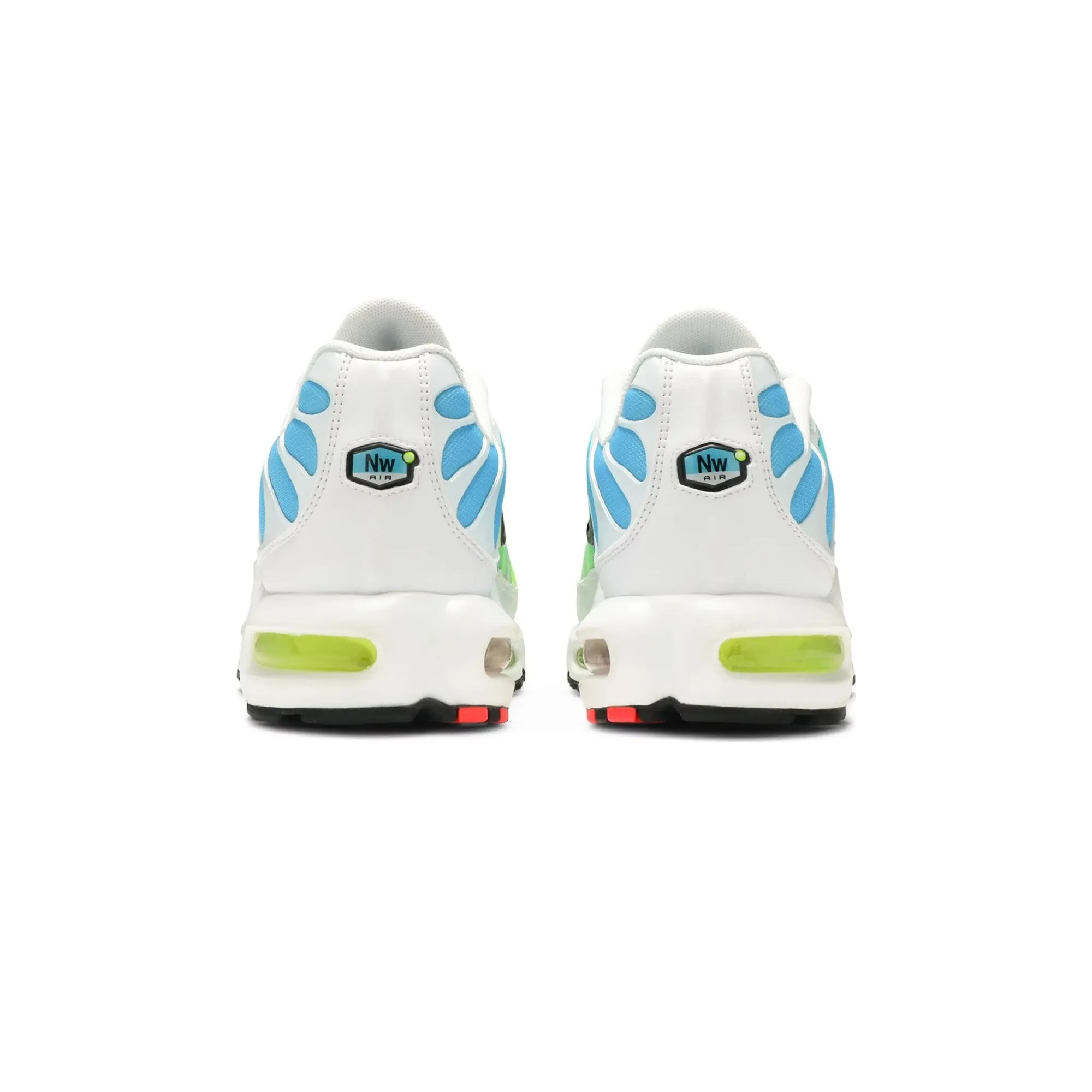 LongLasting Air Max Plus TN 'Worldwide'