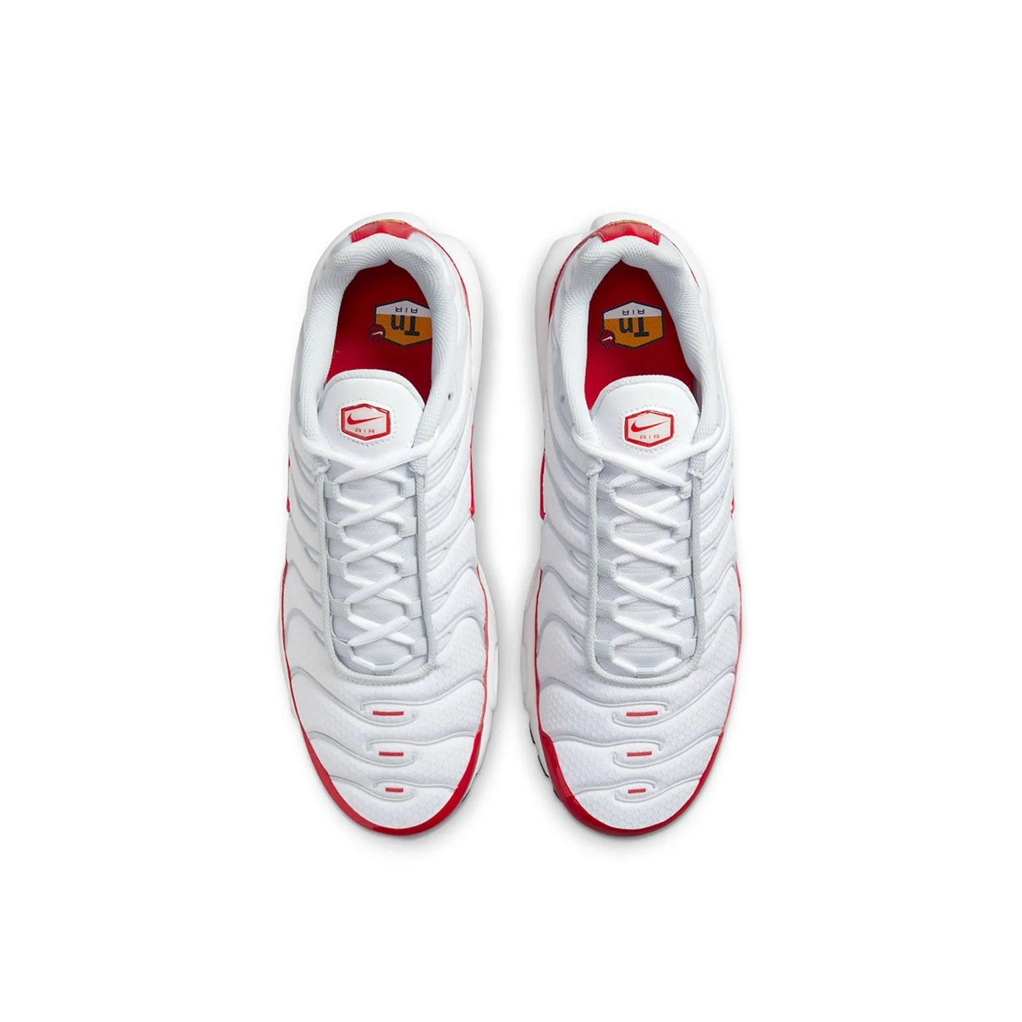Adaptive Steps Mobility Boost Air Max TN Plus 'Air Max 1'