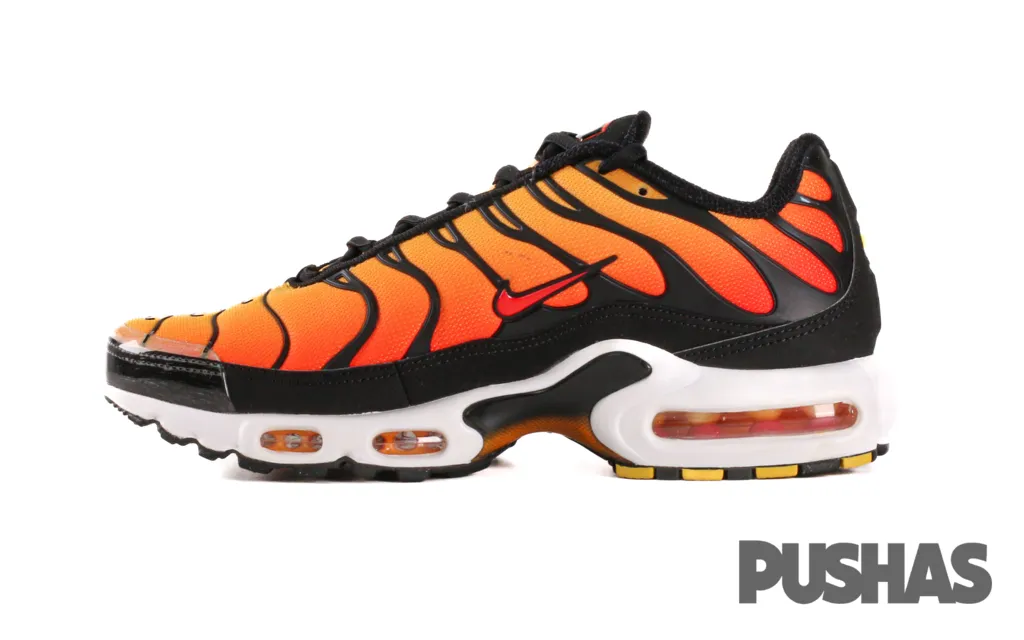Relaxed Look Seamless Knit Construction Air Max TN Plus 'Tiger'