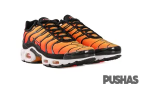 Neutral Cushioning Profile Air Max TN Plus 'Tiger'