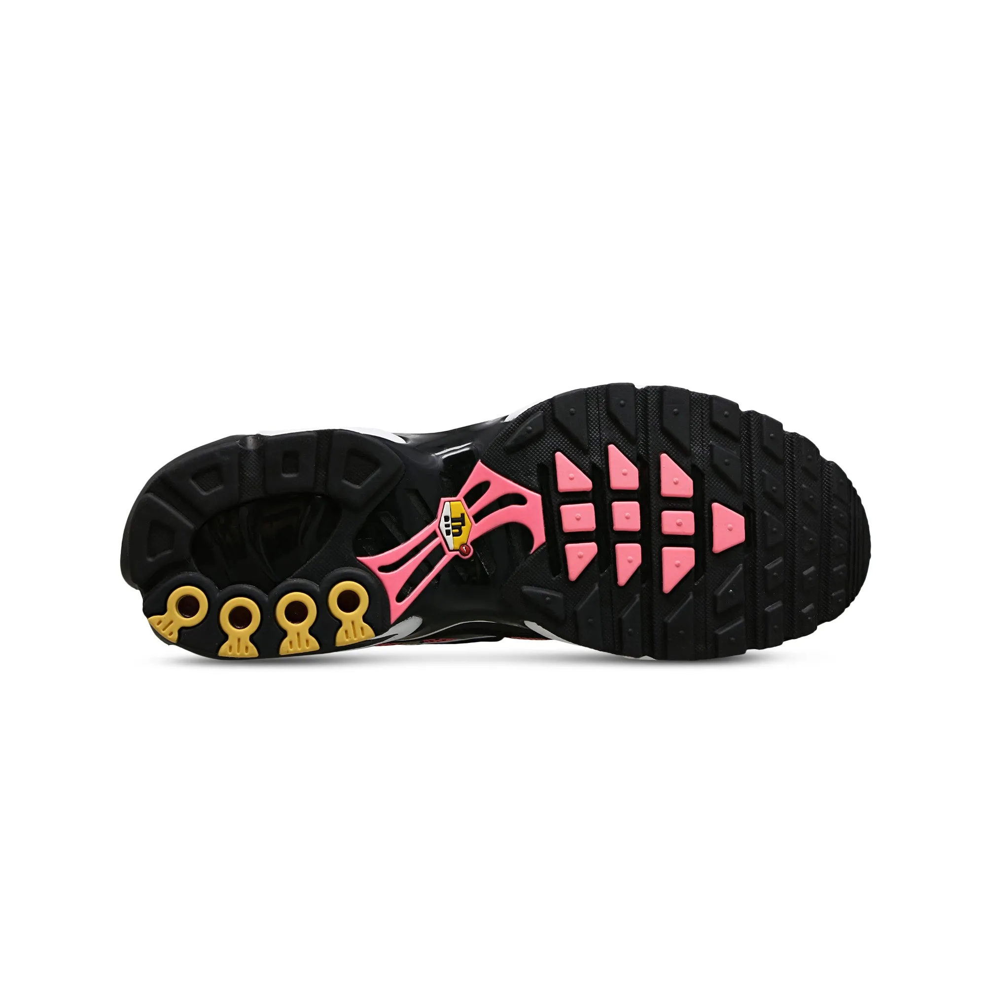 Supportive support Any Weather Nike Air Max Plus TN 'All Day' (2024)