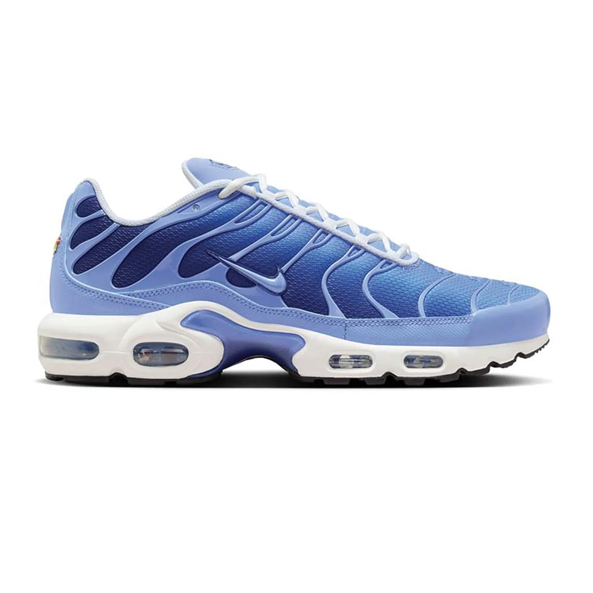 Aerobic Flex Sole Nike Air Max Plus TN 'Royal Pulse'