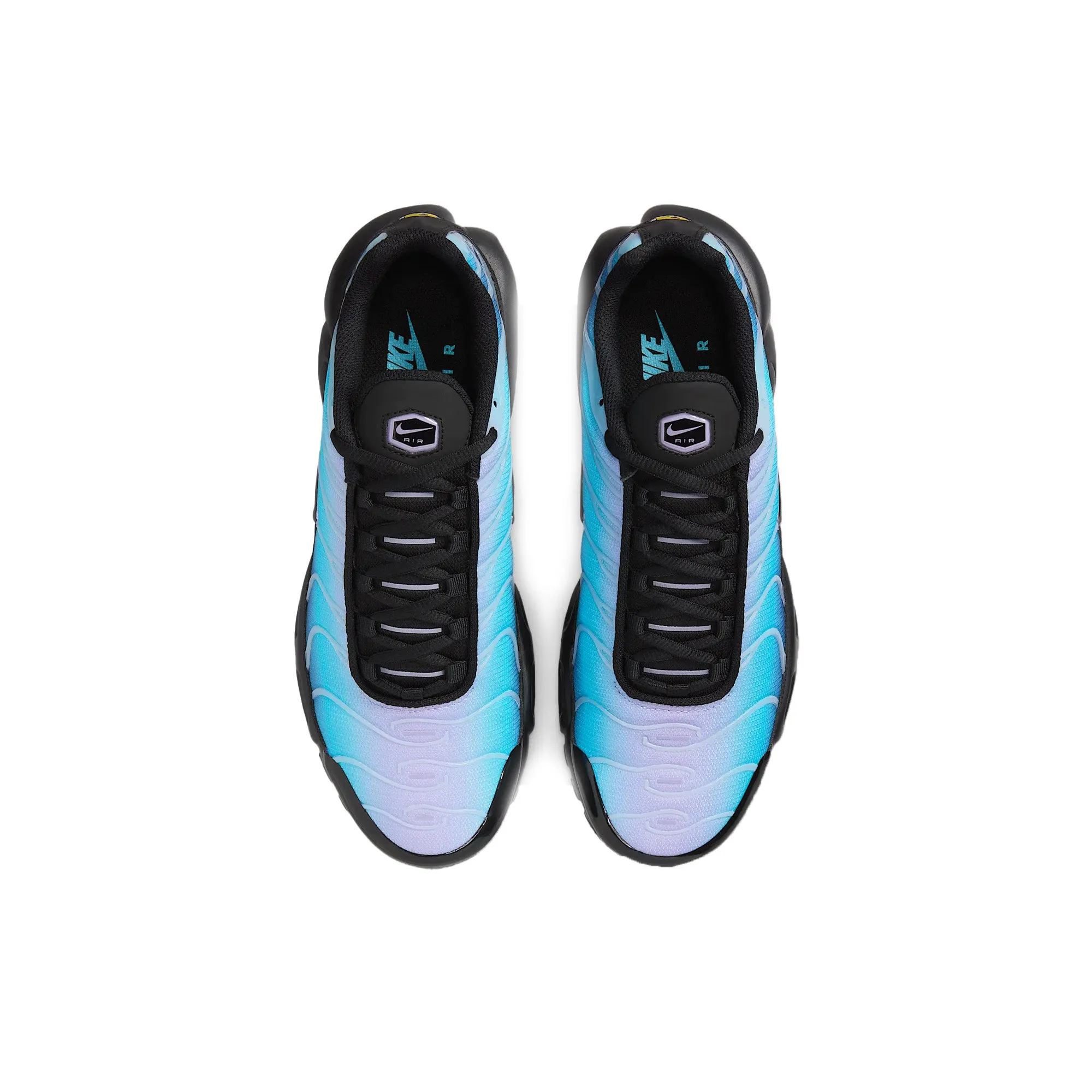 Nike Air Max Plus TN 'Black Hydrangeas' Women's Form Support All Day Wear
