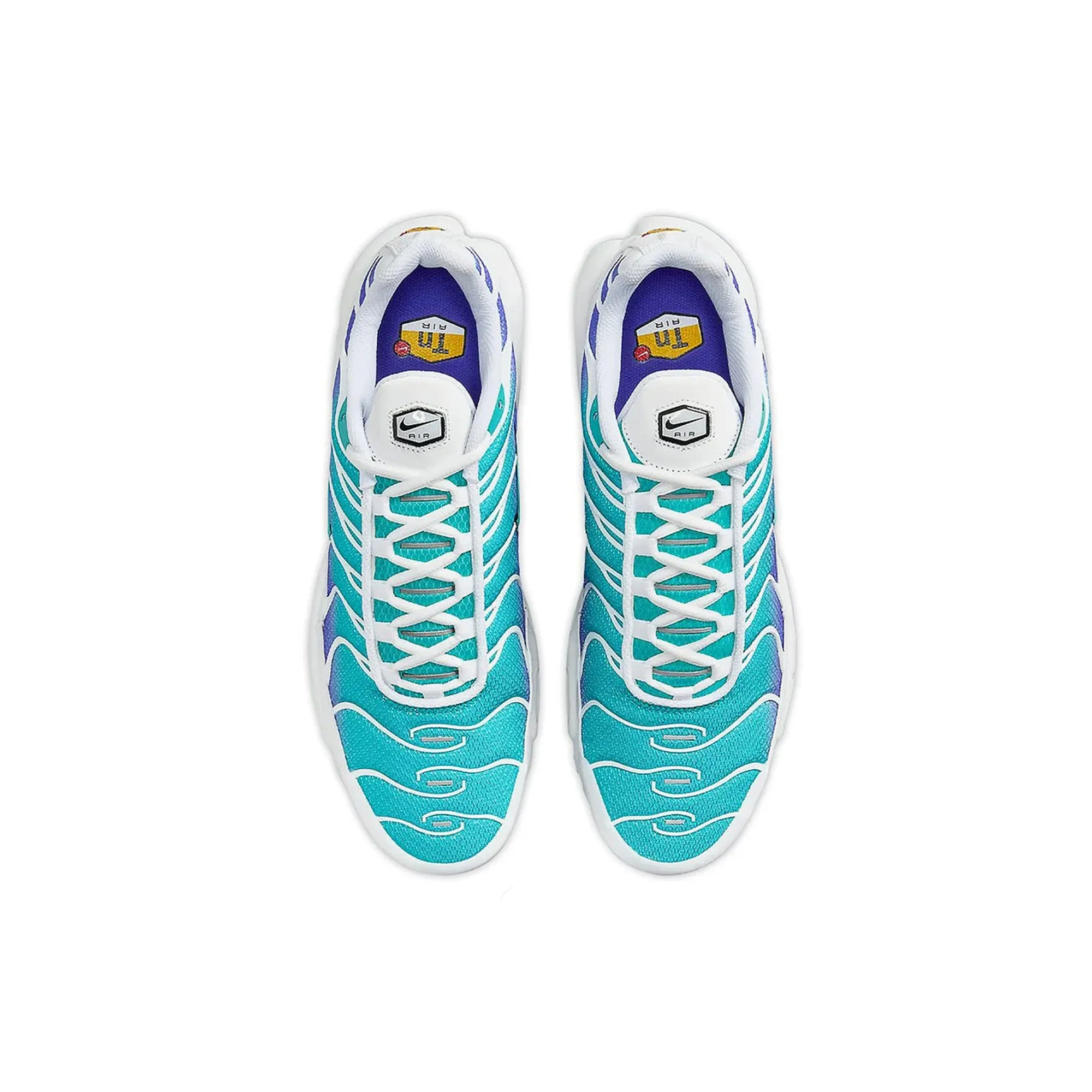 Nike Air Max Plus TN 'Aqua' (2024) All Walks