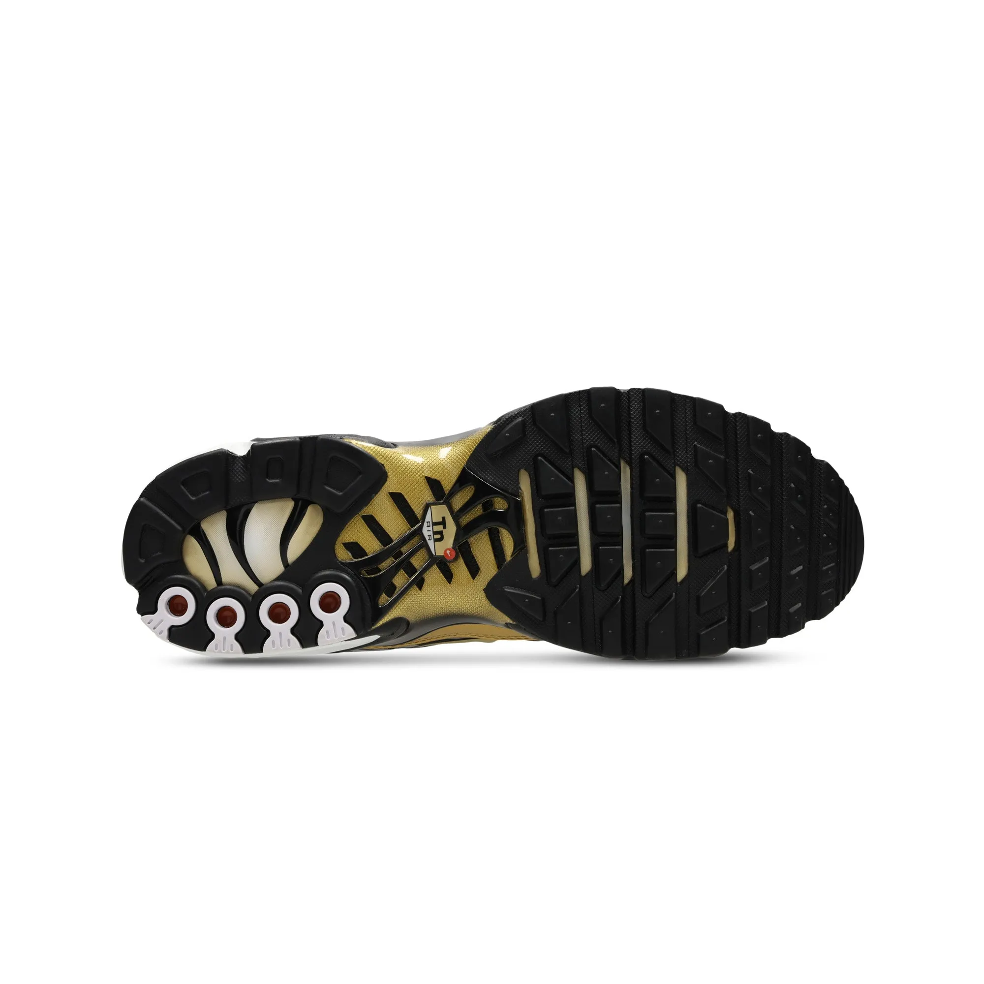day use Foot Locker x Nike Air Max Plus Premium '50th Anniversary' (2024)