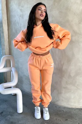 Series 3 Sweatpants - Peach Modular Attachment
